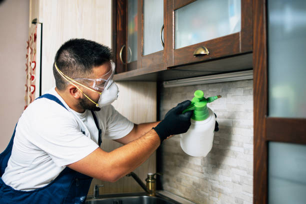 Best Exterminator Services  in Beattystown, NJ
