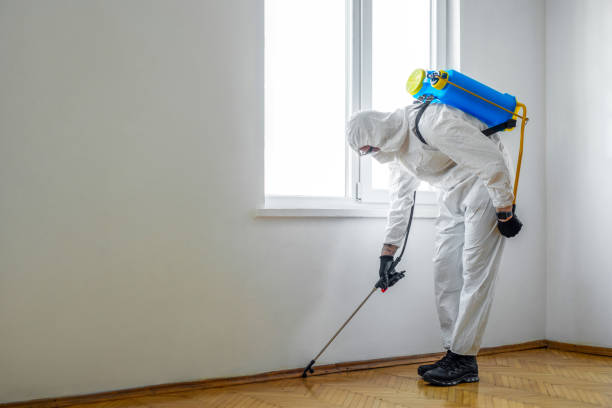Reliable Beattystown, NJ Pest Control Solutions