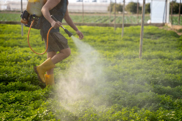 Best Affordable Exterminators  in Beattystown, NJ