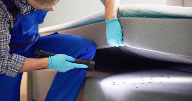 Best Pest Control for Homes  in Beattystown, NJ