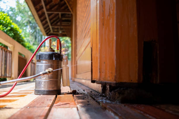 Best Mosquito Control Services  in Beattystown, NJ